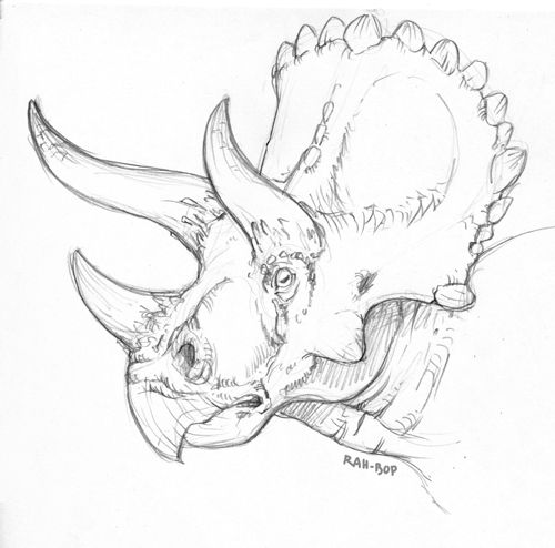 500x494 triceratops bestiary of my dreams dinosaur drawing, art - Triceratops Drawing