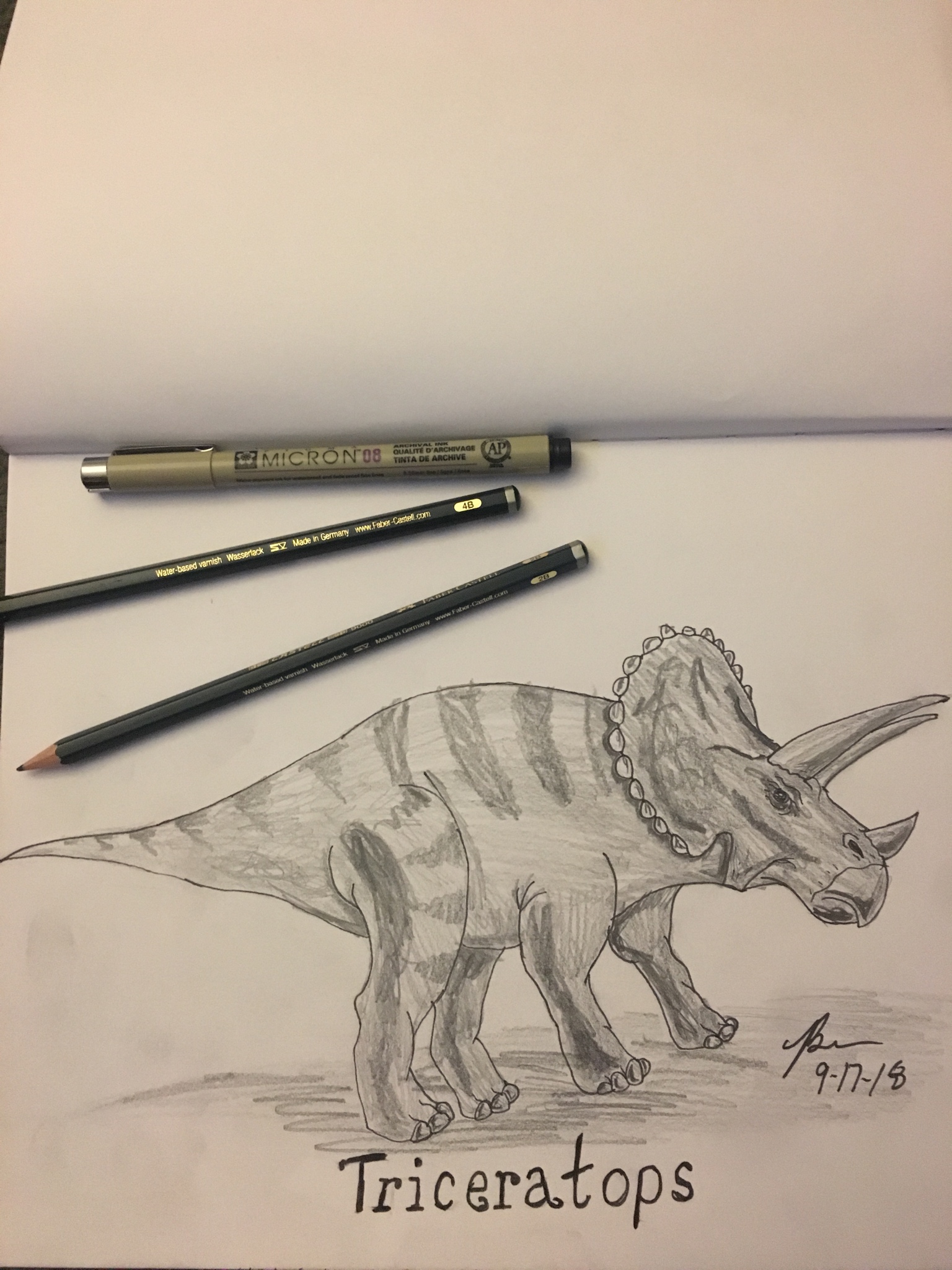 1536x2048 triceratops drawing - Triceratops Drawing