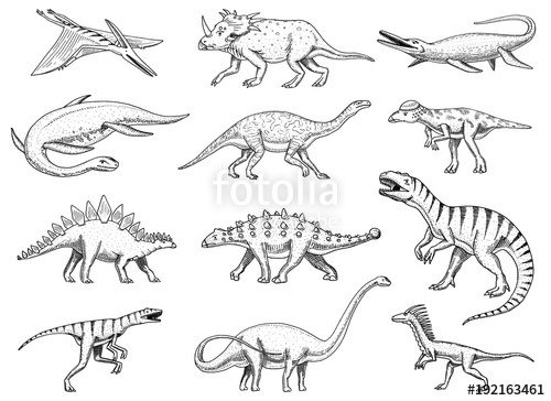 500x364 Dinosaurs Set, Tyrannosaurus Rex, Triceratops, Barosaurus - Triceratops Skeleton Drawing