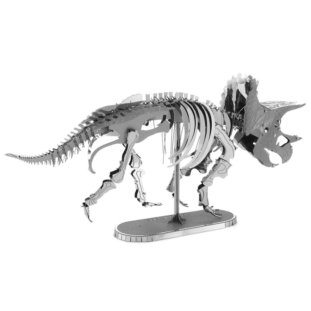 1024x1024 Triceratops Skeleton Samurai Bear Collectibles - Triceratops Skeleton Drawing