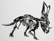 190x145 Triceratops Skeleton Sketch Vector Cool Drawing Enamel Mug - Triceratops Skeleton Drawing