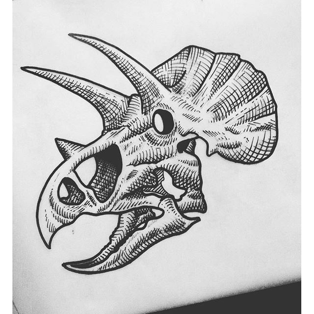 640x640 triceratops skull tattoos tattoos, dinosaur tattoos, ankh tattoo - Triceratops Skeleton Drawing