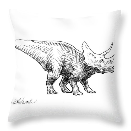 500x500 Cera The Triceratops - Triceratops Skeleton Drawing