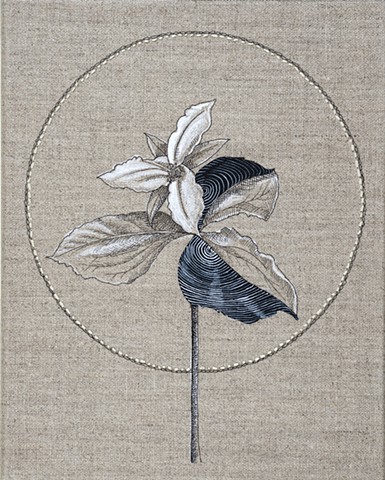 385x480 Kirsten Furlong - Trillium Drawing