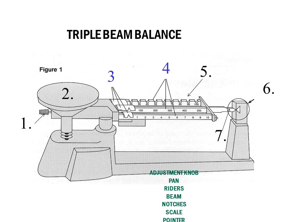 Triple Beam Balance Practice Worksheet
