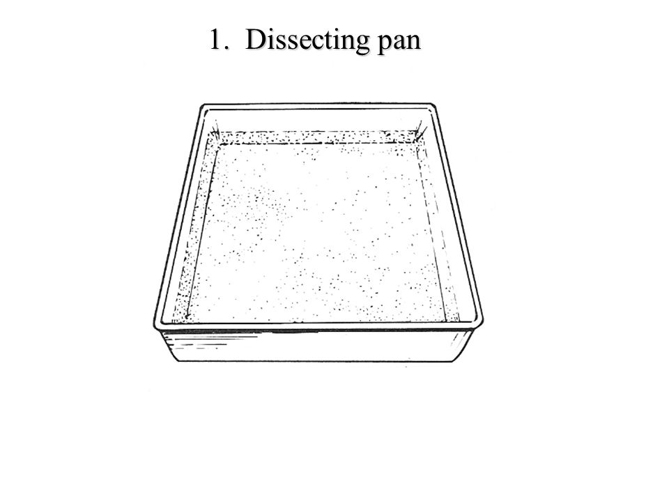 960x720 triple beam balance drawing - Triple Beam Balance Drawing