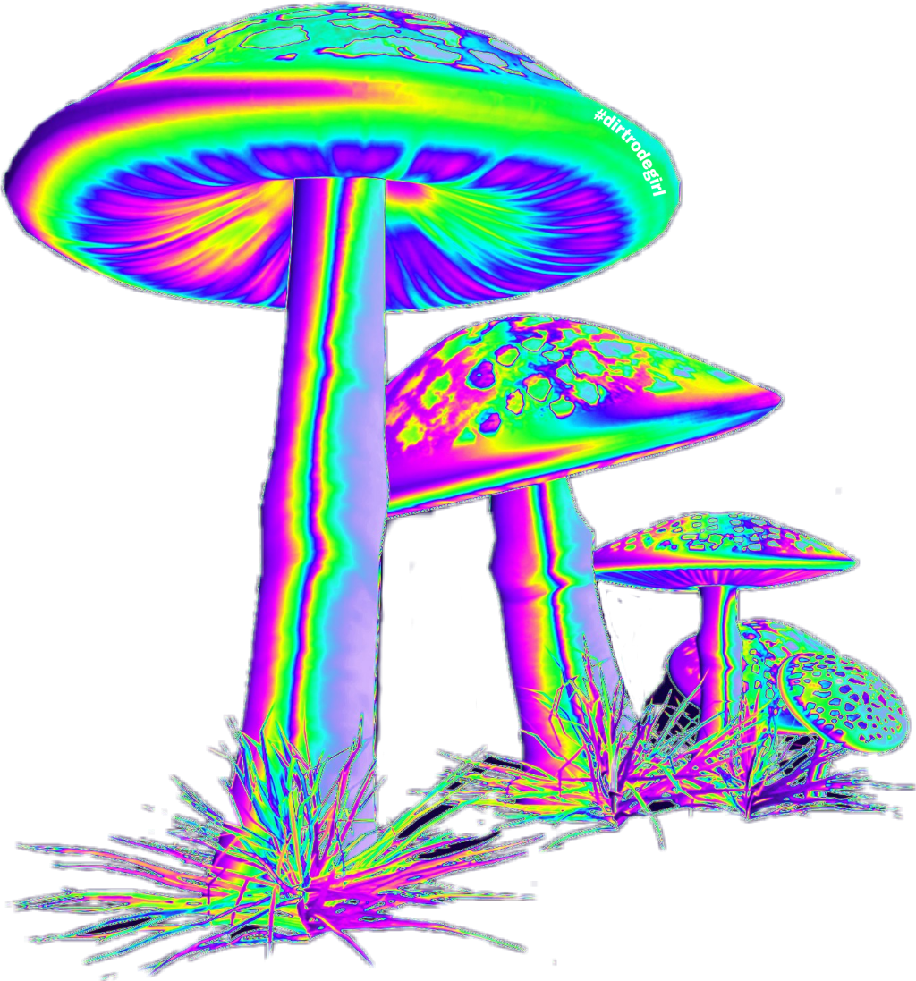 1024x1097 galleryneed easy aesthetic mushroom drawing trippy - Trippy Mushr...