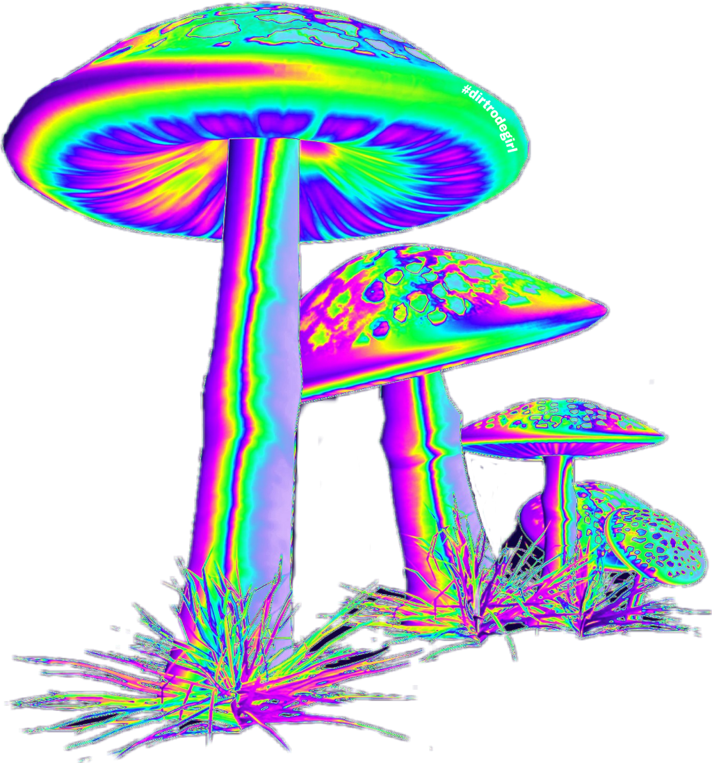 Trippy Mushroom Drawing at Explore collection of