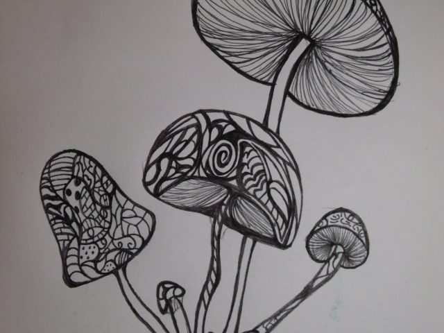 Trippy Mushroom Drawing at PaintingValley.com | Explore collection of