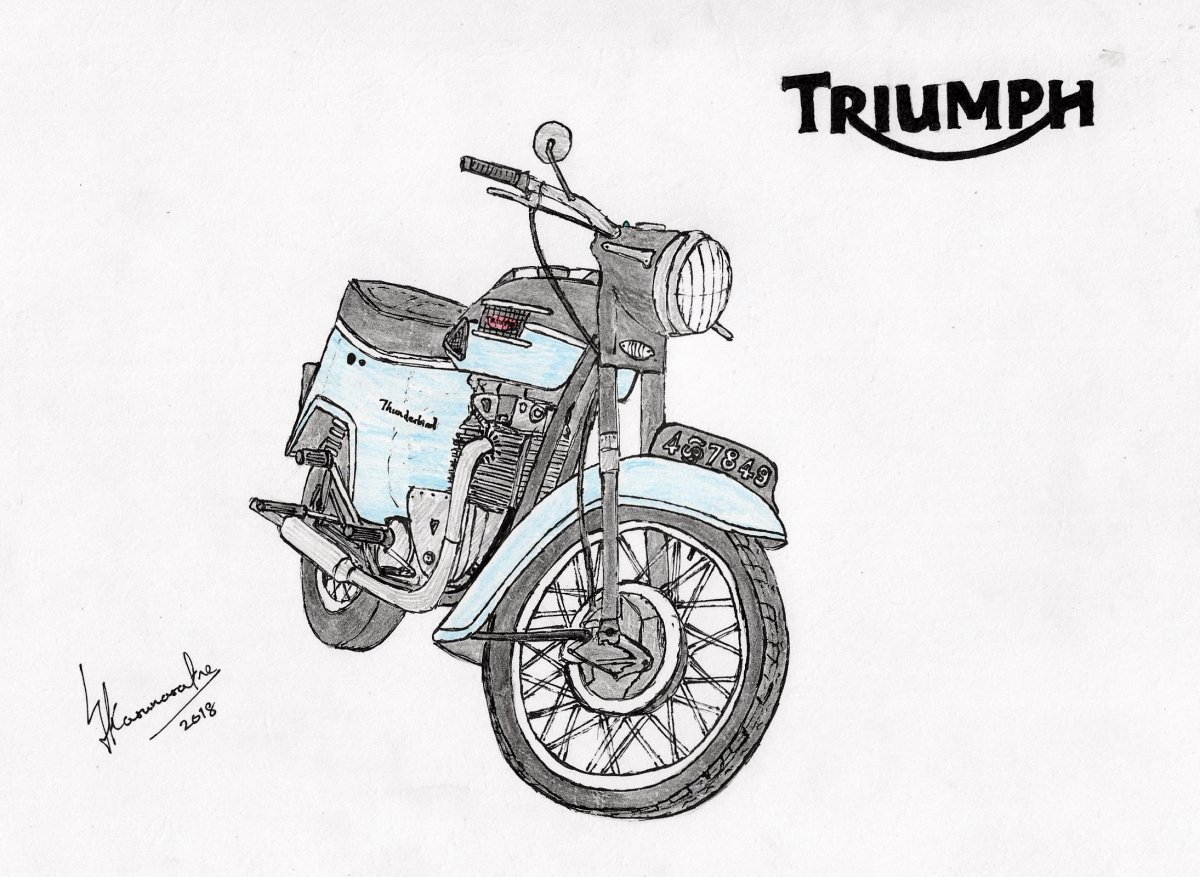 1200x877 triumph thunderbird - Triumph Drawing
