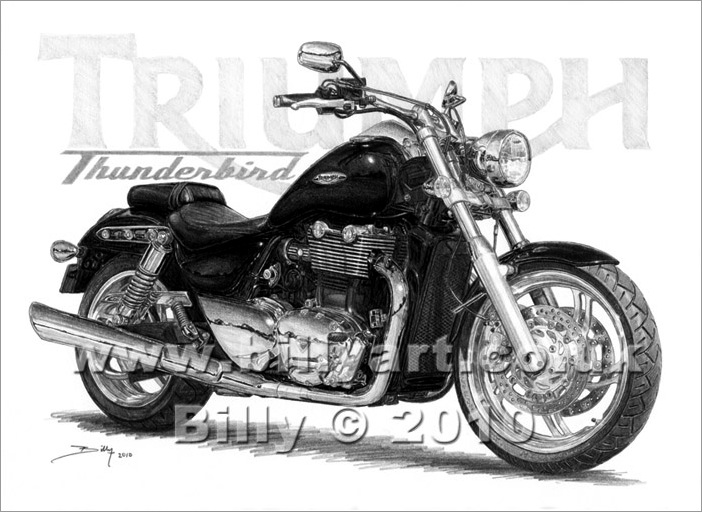 702x512 triumph thunderbird motorcycle fine art print - Triumph Drawing