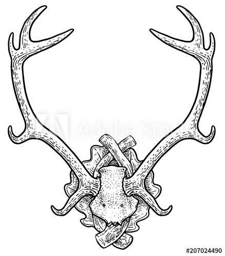 439x500 Deer Trophy Illustration, Drawing, Engraving, Ink, Line Art - Trophy Line Drawing