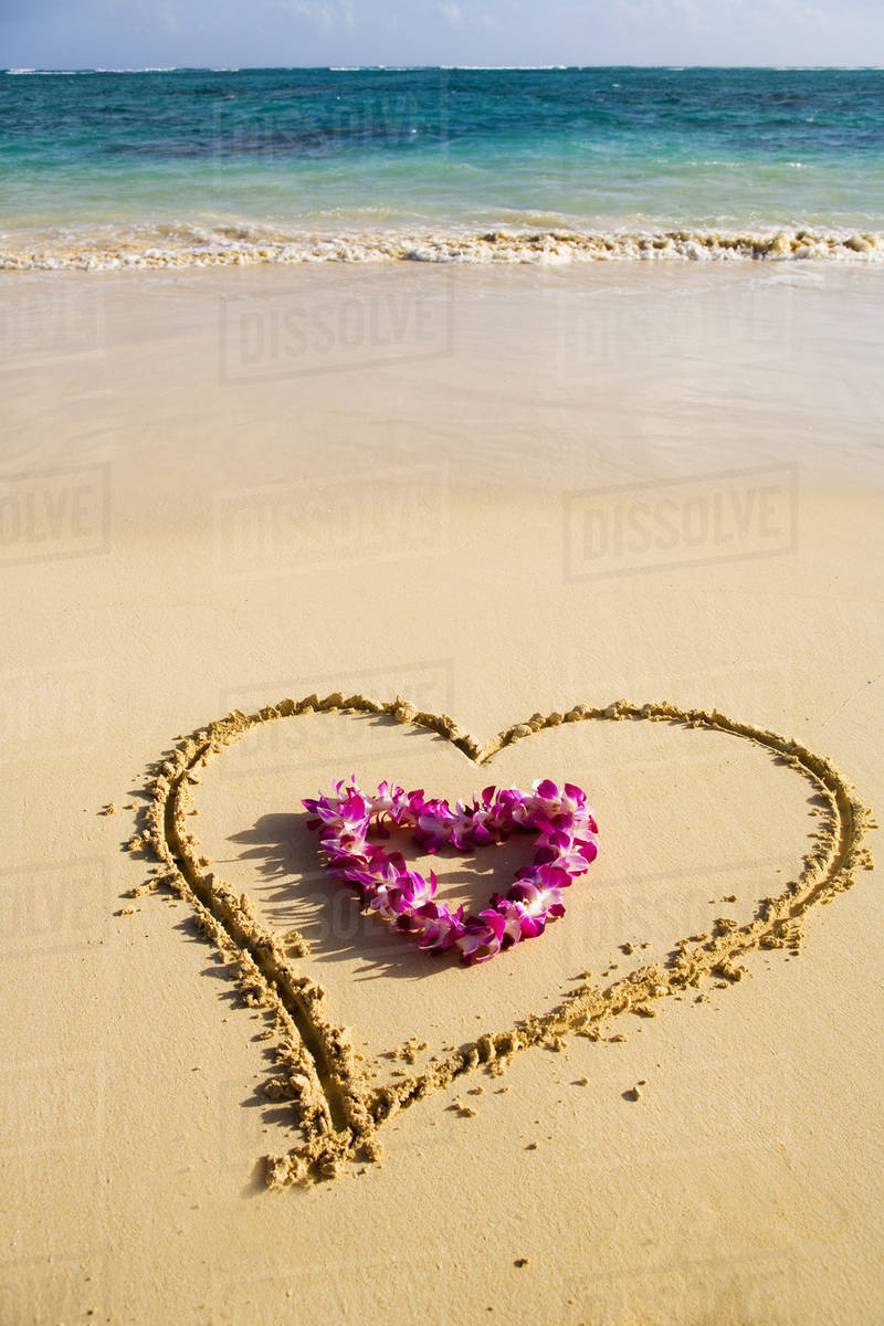 800x1200 picture of a heart drawn in the sand on a tropical beach, orchid - Tropical Beach Drawing