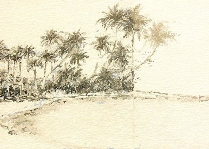 700x500 tropical beach drawing greeting card for sale - Tropical Beach Drawing