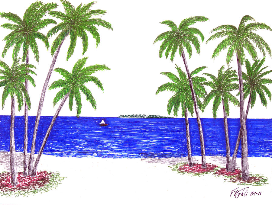 900x679 tropical beach drawing - Tropical Beach Drawing