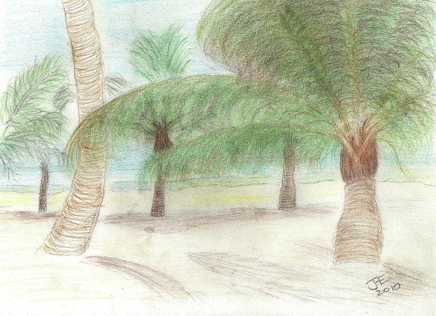900x652 tropical beach drawing - Tropical Beach Drawing
