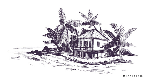 500x274 tropical beach stock image and royalty free vector - Tropical Beach Drawing