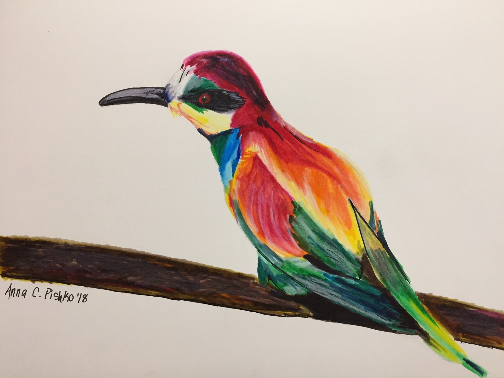 1616x1212 tombow brush pen review tropical bird drawing through - Tropical Bird Drawing