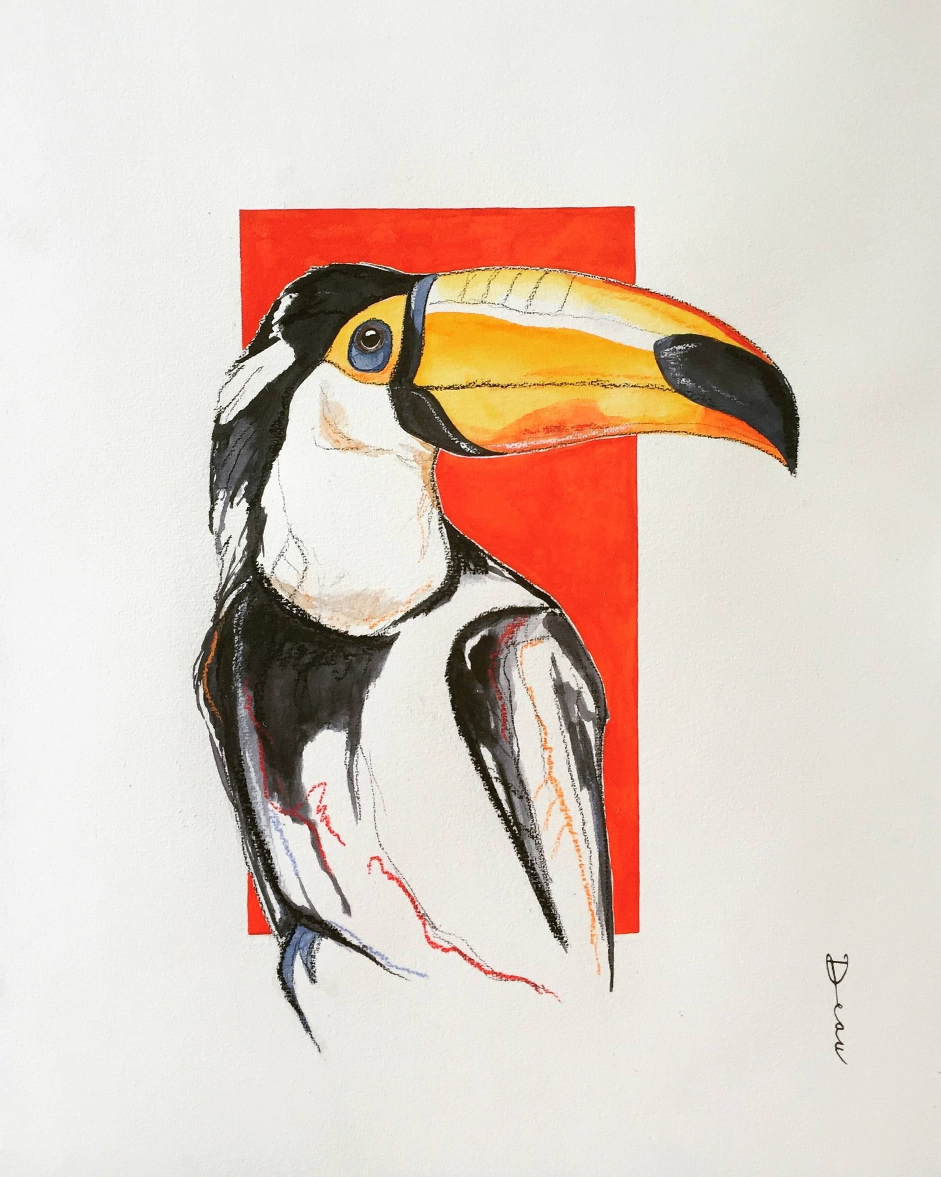 1920x2401 tropical bird toucan painting - Tropical Bird Drawing