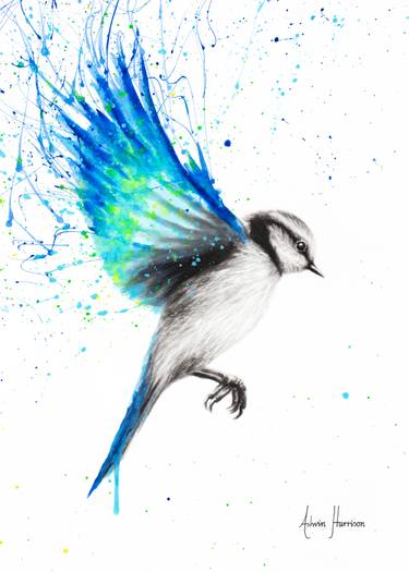 375x525 tropical oasis drawing - Tropical Bird Drawing