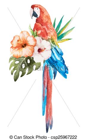 293x470 tropical birds beautiful vector set with nice watercolor tropical - Tropical Bird Drawing