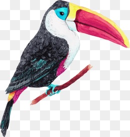 260x273 Drawing Birds Png Images Vectors And Free Download - Tropical Bird Drawing