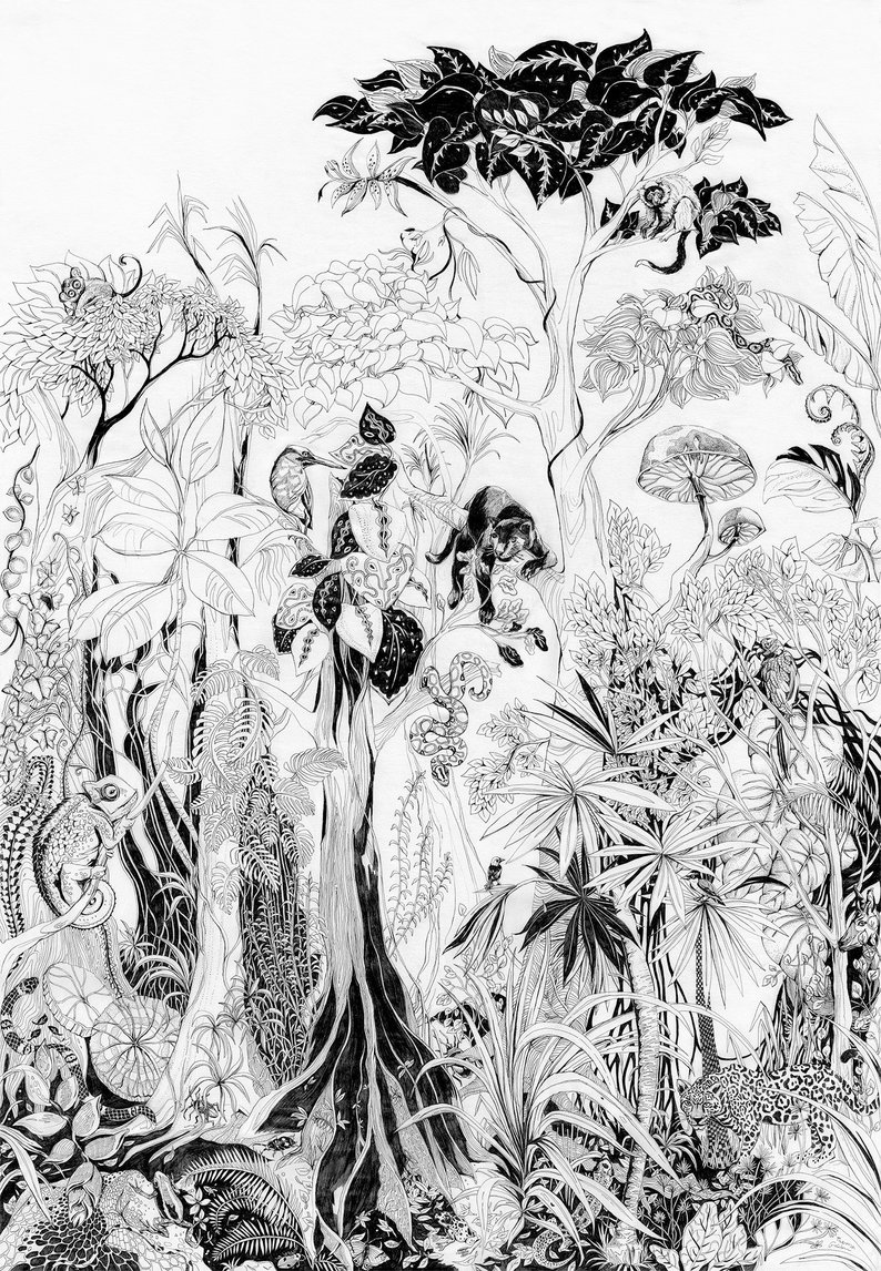 794x1146 Jungle Drawing Fine Art Print Tropical Decor Rainforest Etsy - Tropical Drawing