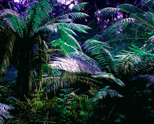 599x480 Surreal Tropical Forest Drawing Illustrated Scene Poster - Tropical Drawing