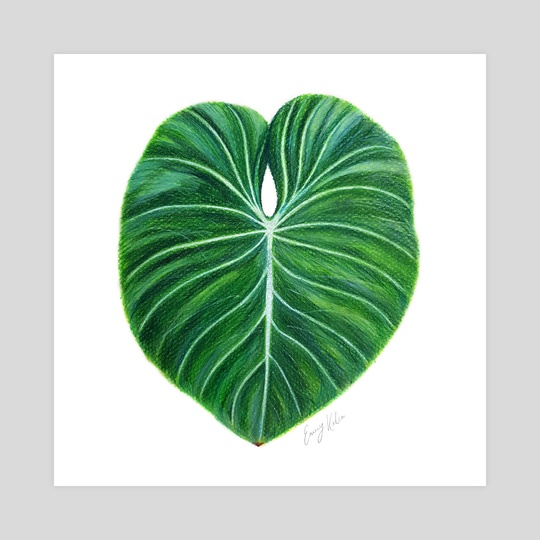540x540 Tropical Leaf Pastel Drawing, An Art Print - Tropical Drawing