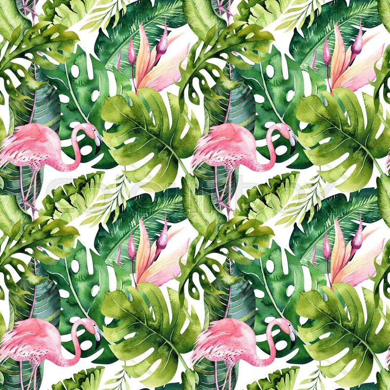 800x800 Tropical Isolated Seamless Pattern With Stock Photo Colourbox - Tropical Drawing