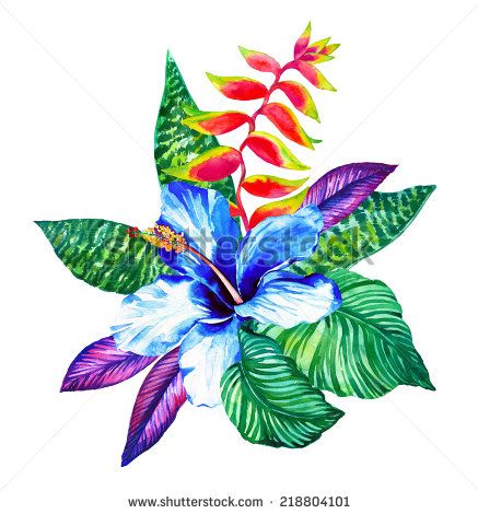 437x470 Drawing Of A Tropical Flower - Tropical Drawing