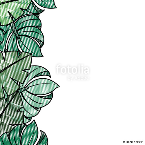 500x500 Tropical Leaves Palm Tree Border Decoration Vector Illustration - Tropical Drawing