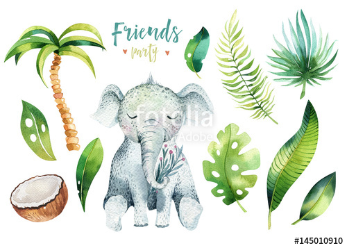 500x357 Baby Animals Nursery Isolated Illustration For Children - Tropical Drawing