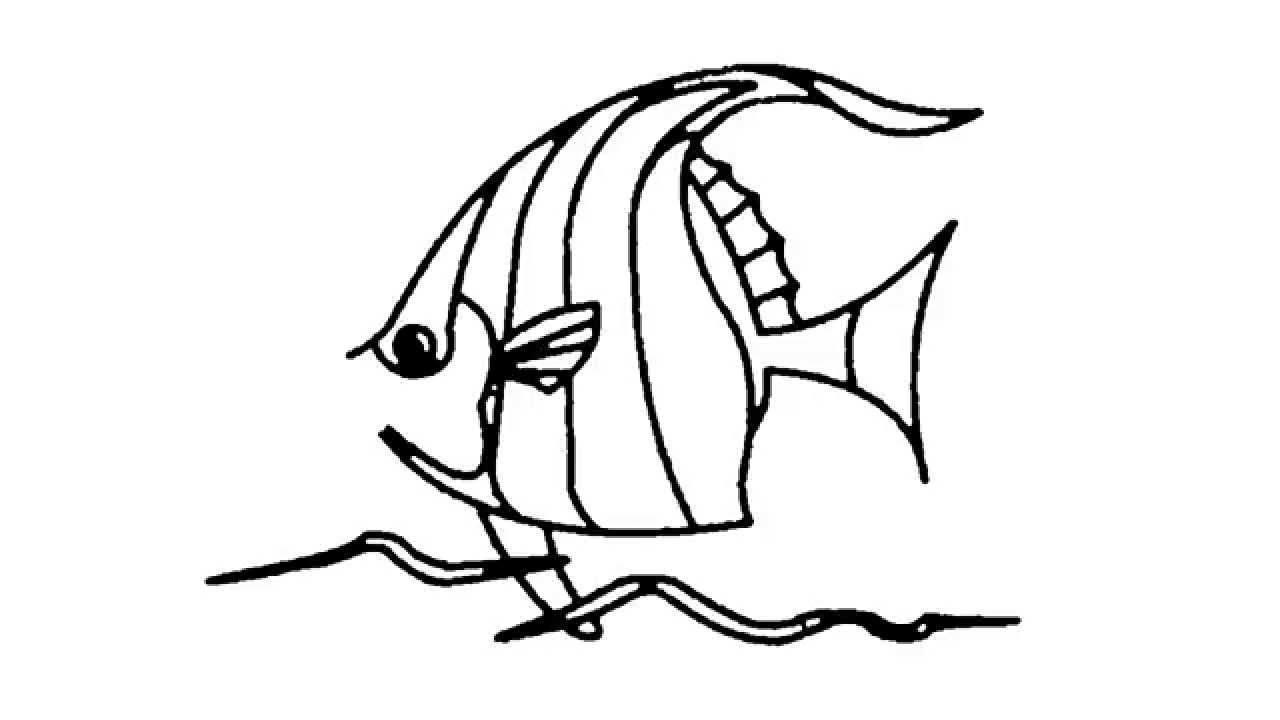 1280x720 How To Draw A Tropical Fish - Tropical Fish Drawing