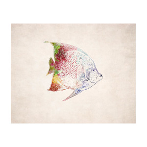 300x300 Tropical Fish Drawing Digital Art - Tropical Fish Drawing