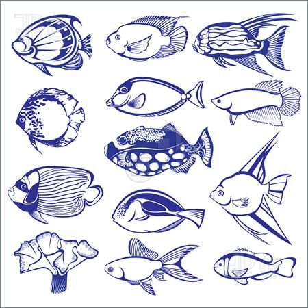 450x450 Tropical Fish Drawings - Tropical Fish Drawing