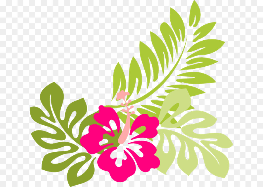 900x640 Flower, Drawing, Plant, Transparent Png Image Clipart Free Download - Tropical Flower Drawing