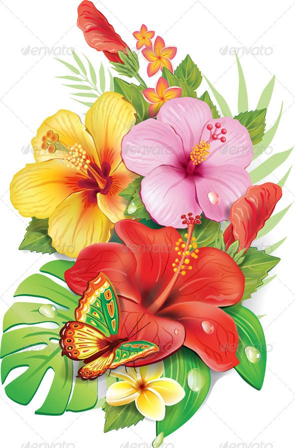 590x896 Dollar Tropical Flower Tattoos, Flowers - Tropical Flower Drawing