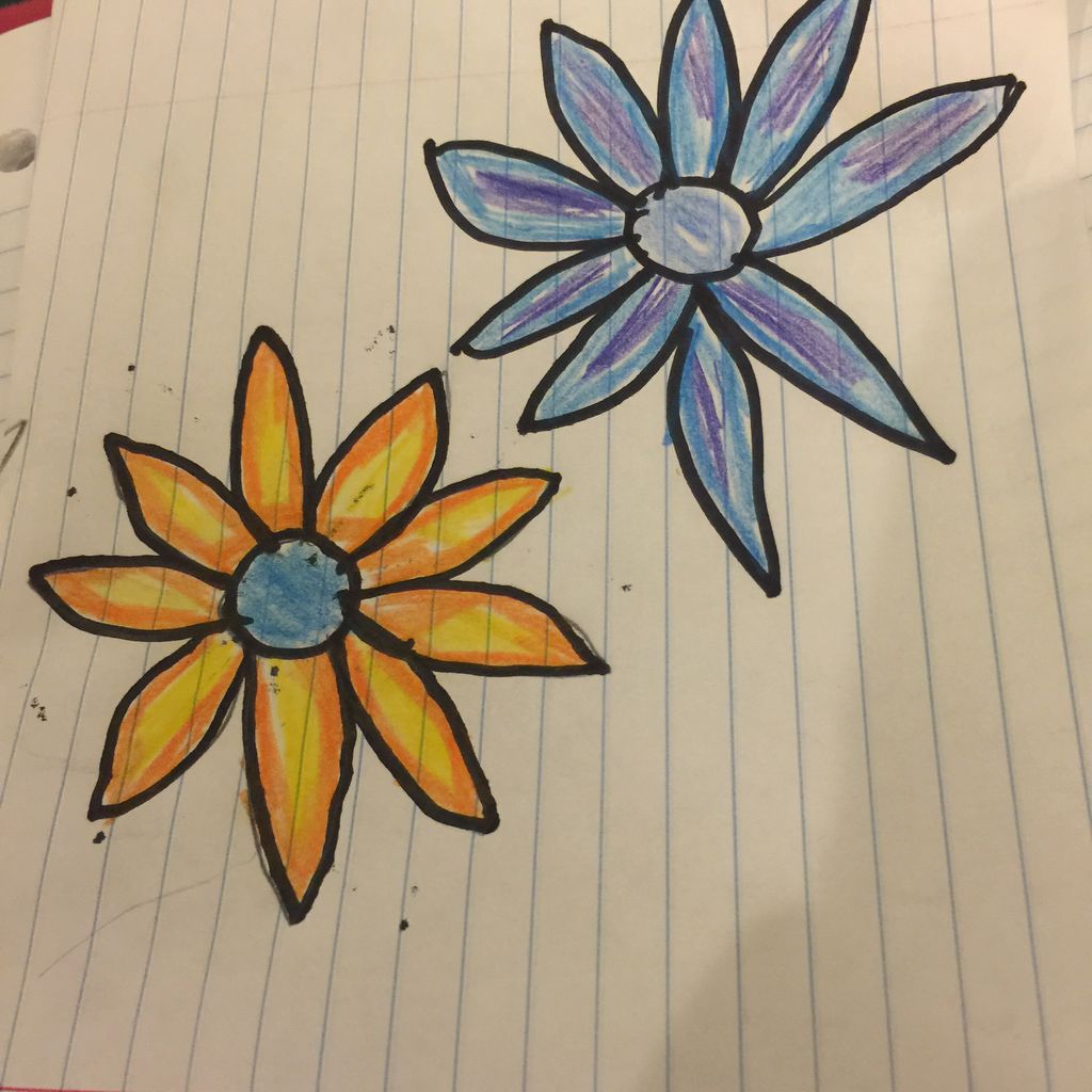 1024x1024 Tropical Flower Drawing Steps - Tropical Flower Drawing