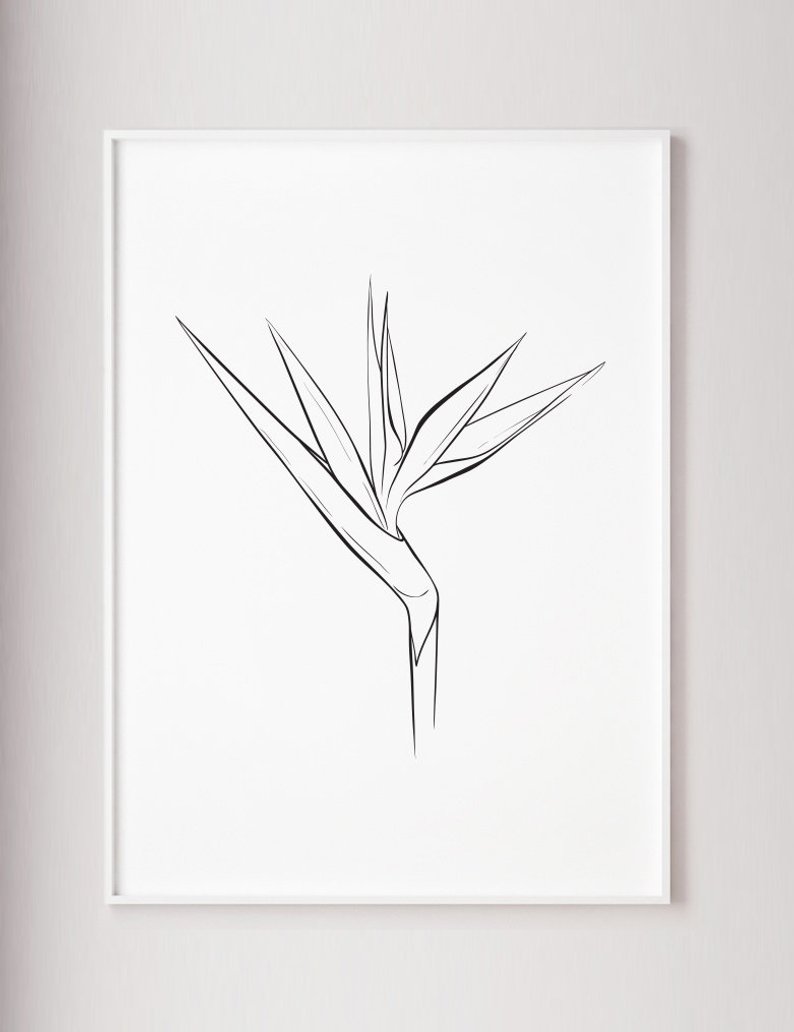 794x1032 bird of paradise plant print tropical flower decor plants etsy - Tropical Flower Drawing