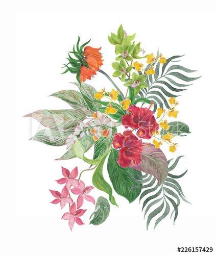 423x500 Colorful Floral Collection With Leaves And Tropical Flowers - Tropical Flower Drawing
