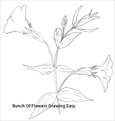 373x392 Easy To Draw Flower Images How To Draw A Tropical Flower How To Draw - Tropical Flower Drawing