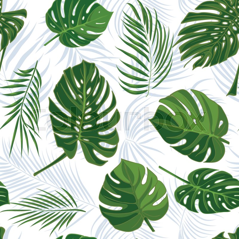800x800 Seamless Hand Drawn Tropical Pattern Stock Vector Colourbox - Tropical Leaves Drawing