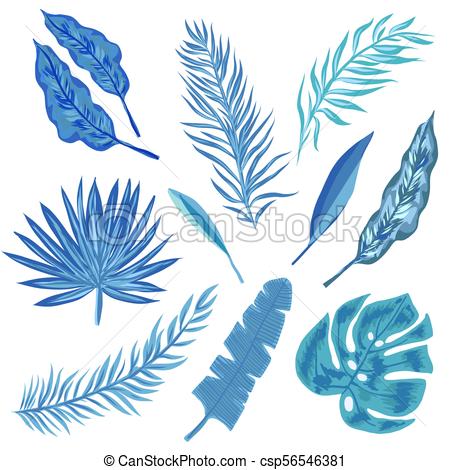 450x470 Set Of Tropical Leaves In Blue Colors Sketch, Floral Elements - Tropical Leaves Drawing