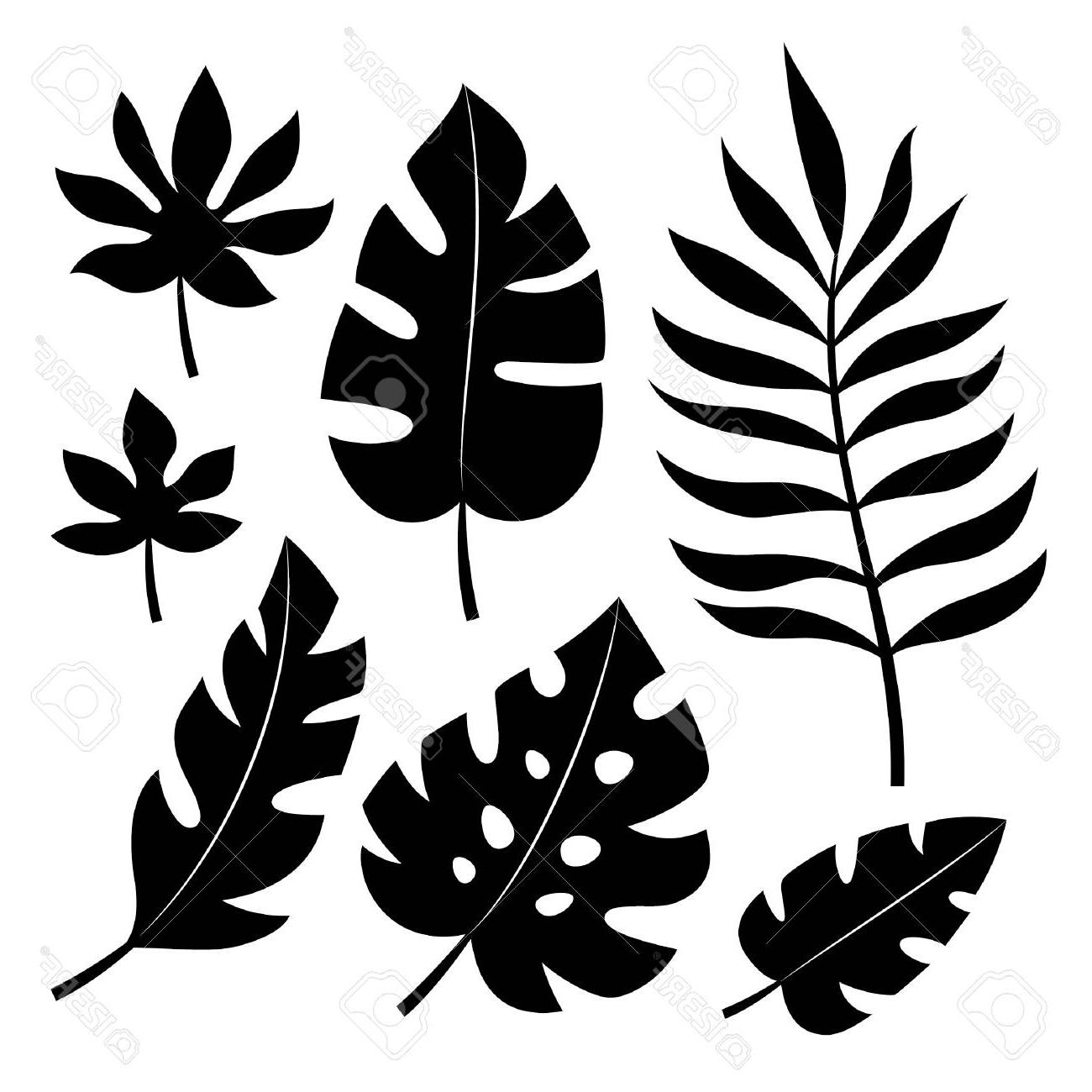 1300x1300 Top Set Of Tropical Leaves Vector Illustration Drawing - Tropical Leaves Drawing