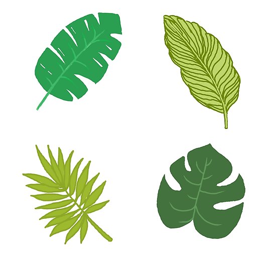 550x550 Tropical Leaf Tumblr Drawing Posters - Tropical Leaves Drawing