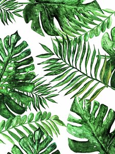 225x300 Tropical Leaves Drawings Fine Art America - Tropical Leaves Drawing