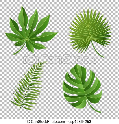 450x470 Tropical Leaves, Vector Illustration, With Gradient Mesh - Tropical Leaves Drawing