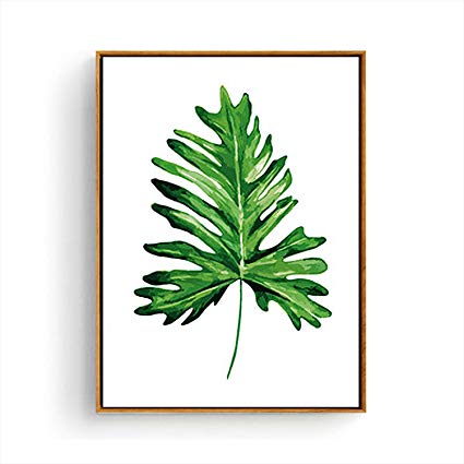 425x425 Hepix Canvas Wall Art Green Plants Tropical Leaves - Tropical Leaves Drawing