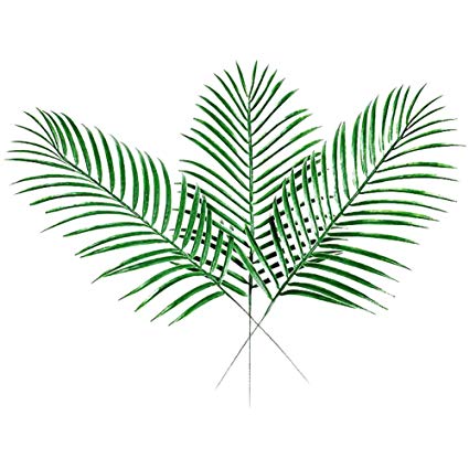 425x425 Xhsp Fake Faux Artificial Tropical Leaves - Tropical Leaves Drawing
